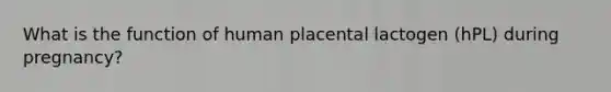 What is the function of human placental lactogen (hPL) during pregnancy?