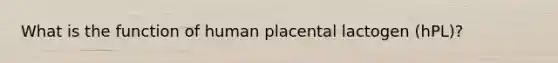 What is the function of human placental lactogen (hPL)?