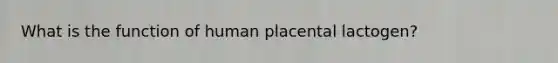 What is the function of human placental lactogen?