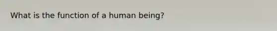 What is the function of a human being?