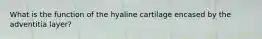 What is the function of the hyaline cartilage encased by the adventitia layer?