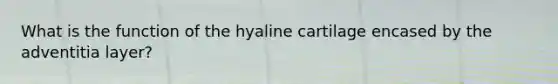 What is the function of the hyaline cartilage encased by the adventitia layer?