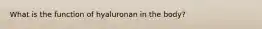 What is the function of hyaluronan in the body?