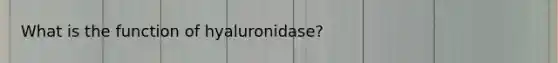 What is the function of hyaluronidase?