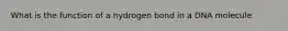 What is the function of a hydrogen bond in a DNA molecule