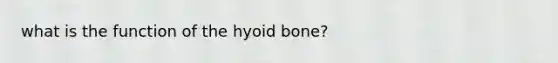 what is the function of the hyoid bone?