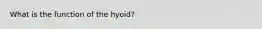 What is the function of the hyoid?