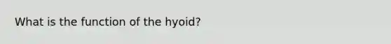 What is the function of the hyoid?