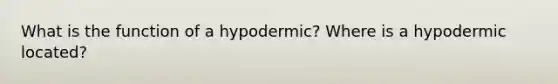 What is the function of a hypodermic? Where is a hypodermic located?