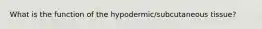 What is the function of the hypodermic/subcutaneous tissue?