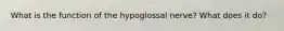 What is the function of the hypoglossal nerve? What does it do?