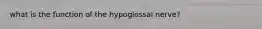 what is the function of the hypoglossal nerve?