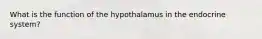 What is the function of the hypothalamus in the endocrine system?