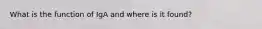 What is the function of IgA and where is it found?