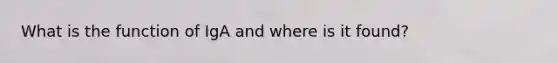 What is the function of IgA and where is it found?