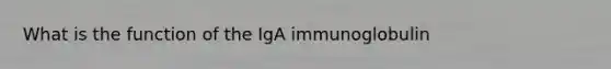 What is the function of the IgA immunoglobulin