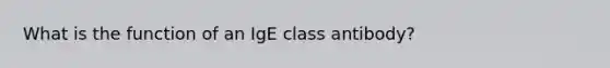 What is the function of an IgE class antibody?