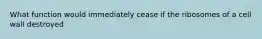 What function would immediately cease if the ribosomes of a cell wall destroyed