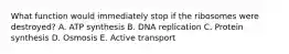 What function would immediately stop if the ribosomes were destroyed? A. ATP synthesis B. DNA replication C. Protein synthesis D. Osmosis E. Active transport