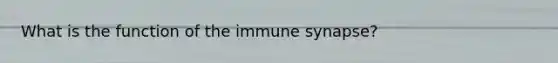 What is the function of the immune synapse?