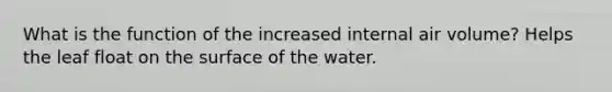 What is the function of the increased internal air volume? Helps the leaf float on the surface of the water.