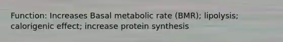 Function: Increases Basal metabolic rate (BMR); lipolysis; calorigenic effect; increase protein synthesis