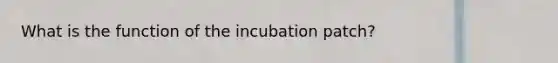 What is the function of the incubation patch?