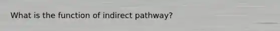 What is the function of indirect pathway?