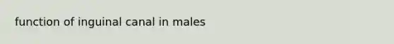 function of inguinal canal in males