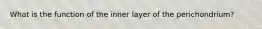 What is the function of the inner layer of the perichondrium?