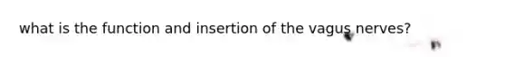 what is the function and insertion of the vagus nerves?