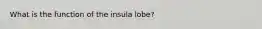 What is the function of the insula lobe?