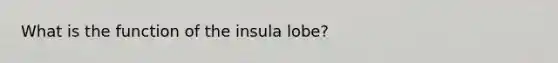 What is the function of the insula lobe?