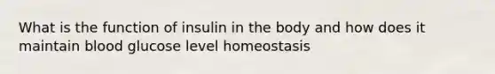 What is the function of insulin in the body and how does it maintain blood glucose level homeostasis