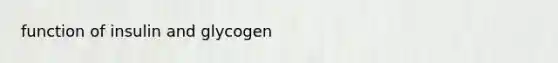 function of insulin and glycogen