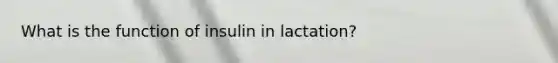 What is the function of insulin in lactation?