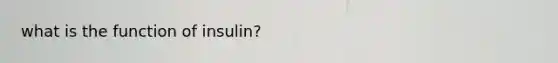 what is the function of insulin?