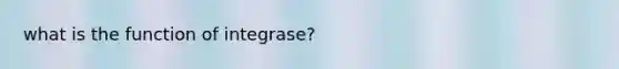 what is the function of integrase?