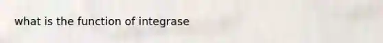 what is the function of integrase