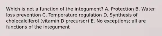 Which is not a function of the integument? A. Protection B. Water loss prevention C. Temperature regulation D. Synthesis of cholecalciferol (vitamin D precursor) E. No exceptions; all are functions of the integument