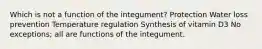 Which is not a function of the integument? Protection Water loss prevention Temperature regulation Synthesis of vitamin D3 No exceptions; all are functions of the integument.