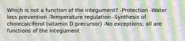 Which is not a function of the integument? -Protection -Water loss prevention -Temperature regulation -Synthesis of cholecalciferol (vitamin D precursor) -No exceptions; all are functions of the integument