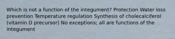 Which is not a function of the integument? Protection Water loss prevention Temperature regulation Synthesis of cholecalciferol (vitamin D precursor) No exceptions; all are functions of the integument