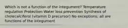 Which is not a function of the integument? Temperature regulation Protection Water loss prevention Synthesis of cholecalciferol (vitamin D precursor) No exceptions; all are functions of the integument