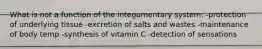 What is not a function of the integumentary system: -protection of underlying tissue -excretion of salts and wastes -maintenance of body temp -synthesis of vitamin C -detection of sensations