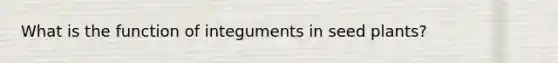 What is the function of integuments in seed plants?