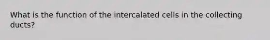 What is the function of the intercalated cells in the collecting ducts?