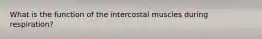 What is the function of the intercostal muscles during respiration?