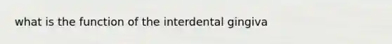 what is the function of the interdental gingiva