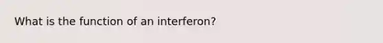 What is the function of an interferon?